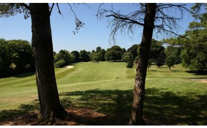 Ardee Golf Club - trees and course