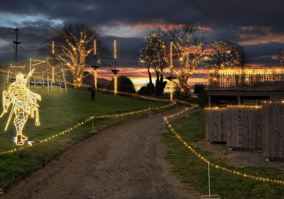 Adventure Lights, Skypark,, Carlingford Adventure Centre, Co Louth_Web Size.jpg