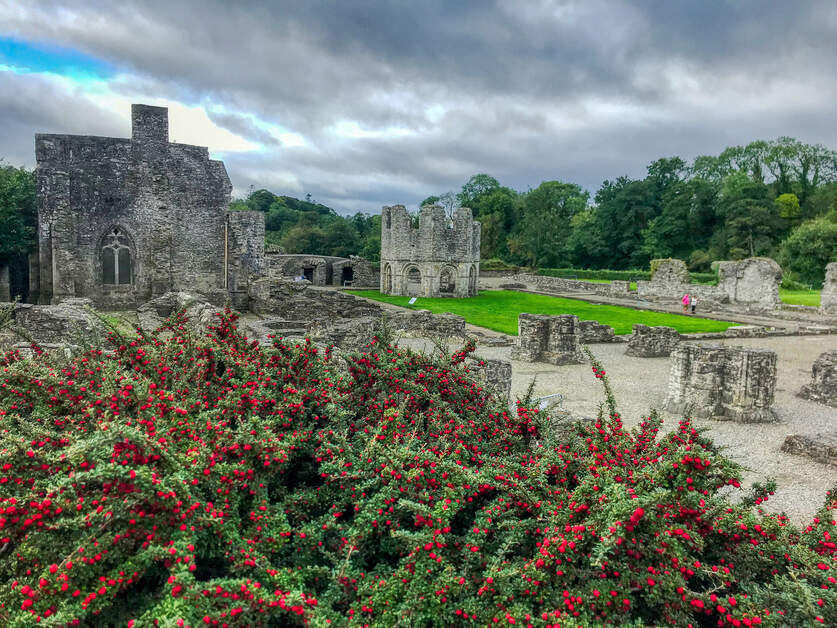 Old Mellifont Abbey (Image: Fáilte Ireland - courtesy Eilish Tierney)
