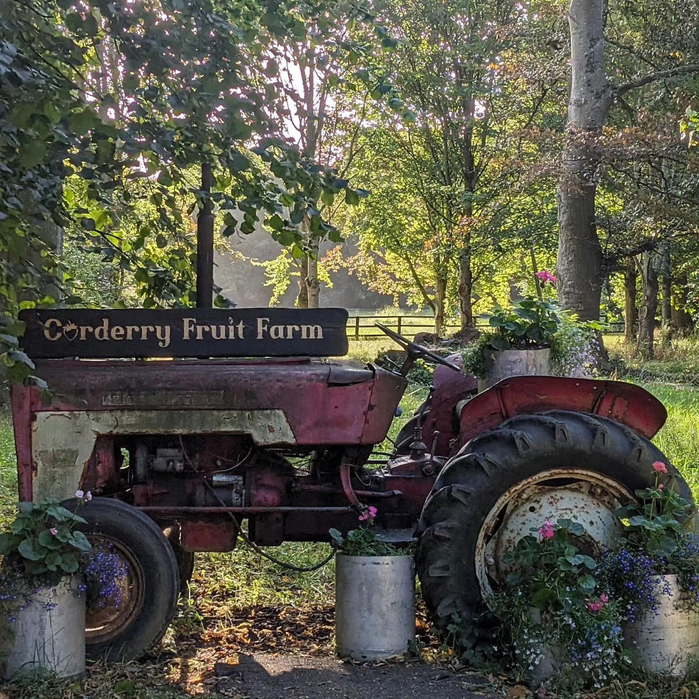 Image: Corderry Fruit Farm