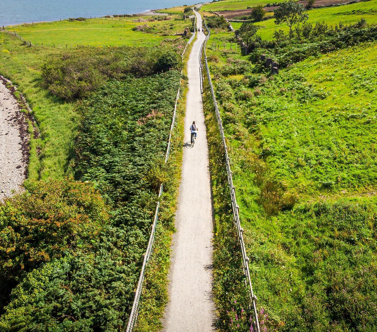 A cyclist on Carlingford Lough Greenway using a hired bicycle