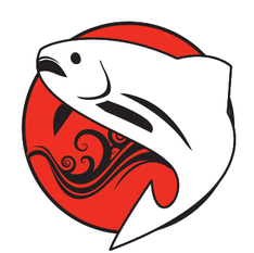 The Salmon of Knowledge