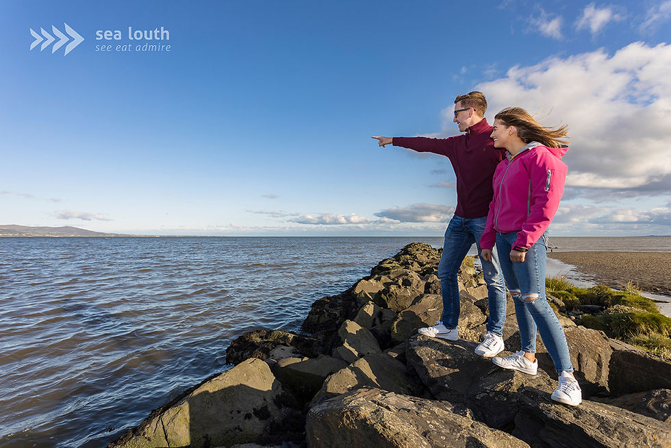 Martello Tower Drogheda Co Louth