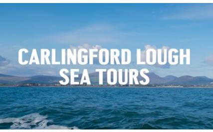 Carlingford Lough Sea Tours