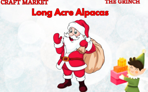 Christmas Experience @ Long Acre Alpacas